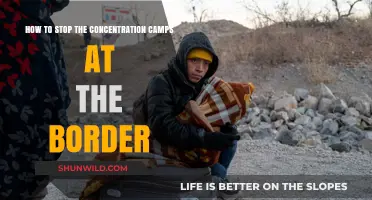 End Border Atrocities: Strategies to Shut Down Concentration Camps Now