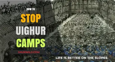 Ending Uighur Camps: Strategies for Global Action and Justice