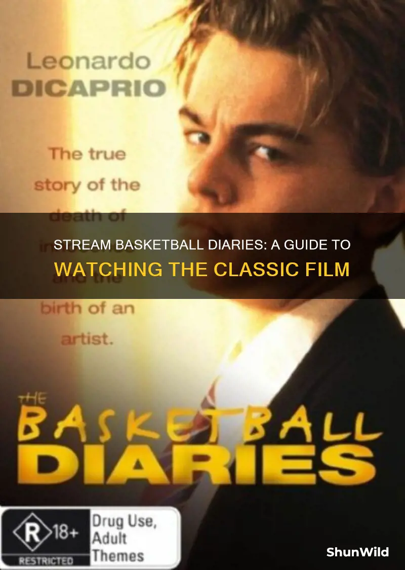 how to stream basketball diaries