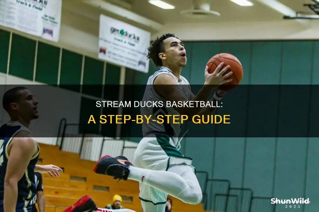 how to stream ducks basketball