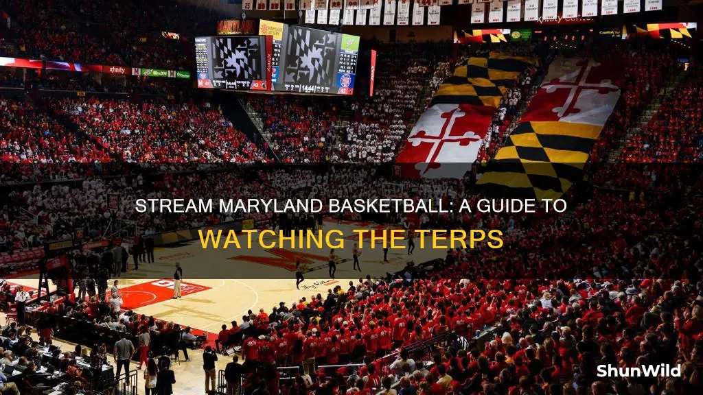 how to stream maryland basketball