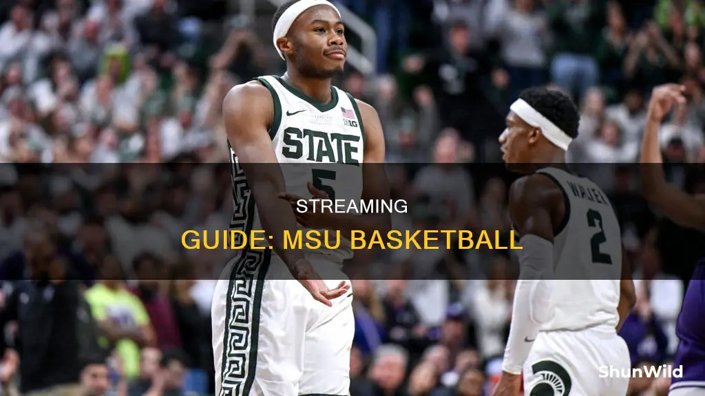 how to stream msu basketball