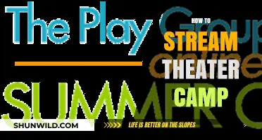 Stream Theater Camp: A Step-by-Step Guide to Virtual Performances