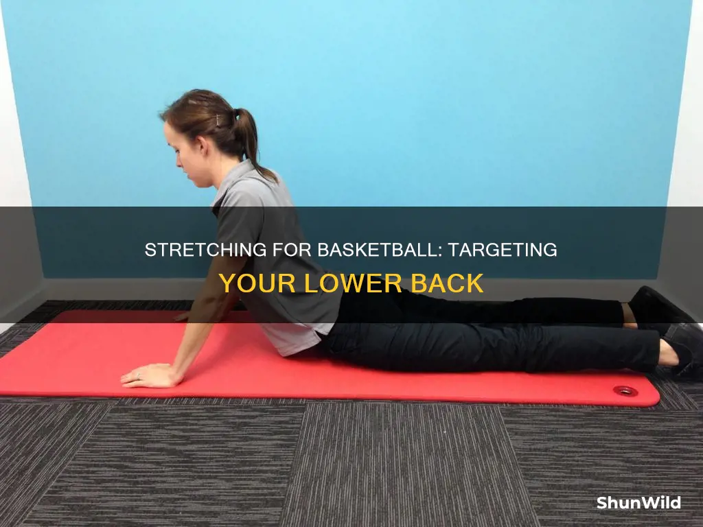 how to stretch lower back before basketball