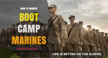 Surviving Marine Boot Camp: Essential Tips for Mental and Physical Endurance