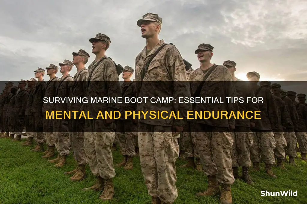 how to survive boot camp marines