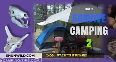 Essential Camping Survival Tips: Mastering the Great Outdoors Like a Pro