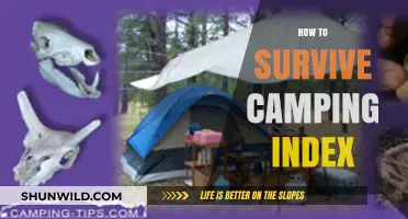 Essential Camping Survival Tips: Your Ultimate Guide to Outdoor Adventures