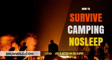 Surviving Camping Nights: Tips to Stay Awake and Alert Outdoors