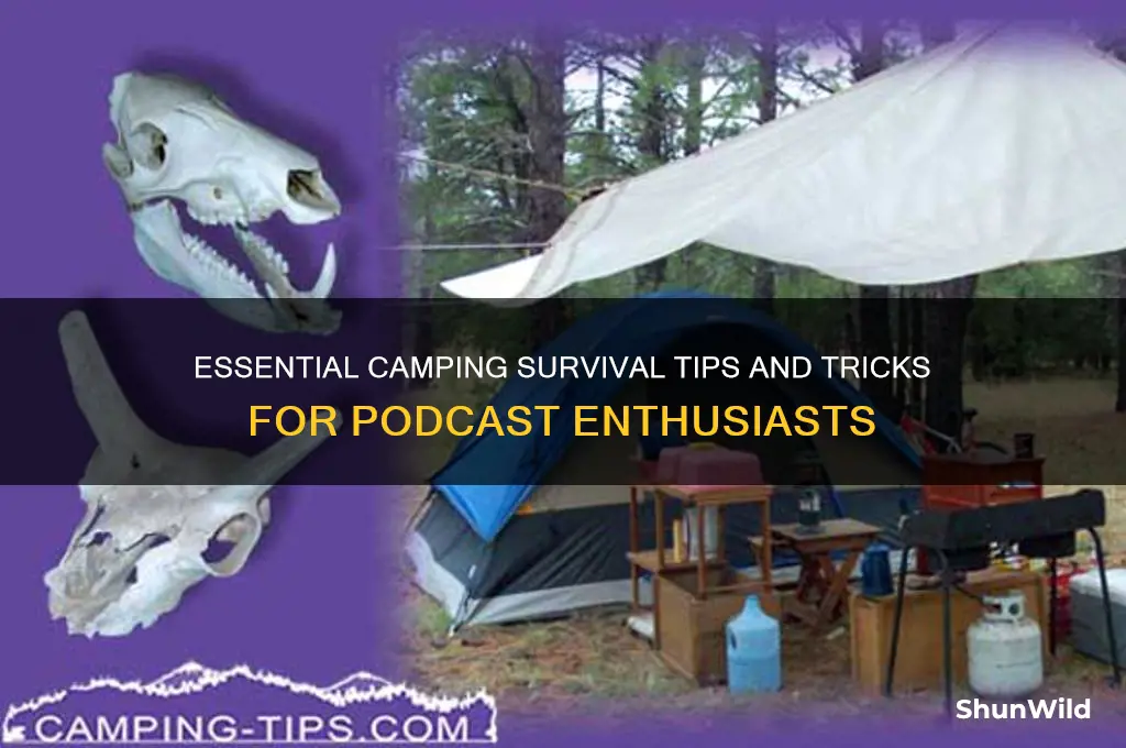 how to survive camping podcast