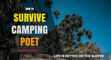Mastering the Art of Camping Poetry: Tips for Survival and Creativity