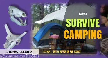 Essential Camping Survival Tips for a Safe and Enjoyable Outdoor Adventure
