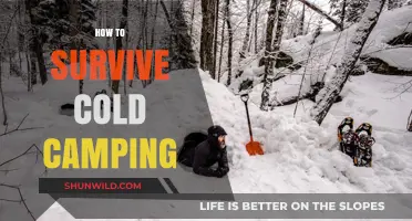 Master Cold Camping: Essential Tips for Staying Warm and Safe Outdoors