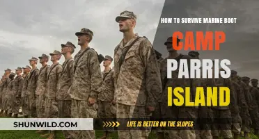 Surviving Parris Island: Essential Tips for Marine Boot Camp Success