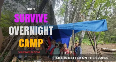 Mastering the Great Outdoors: Essential Tips for Surviving Overnight Camp