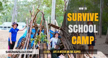 Surviving School Camp: Tips for Fun, Safety, and Adventure