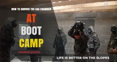 Surviving Boot Camp's Gas Chamber: Essential Tips for Recruits