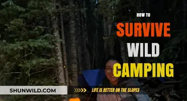 Essential Wild Camping Survival Tips for Outdoor Enthusiasts