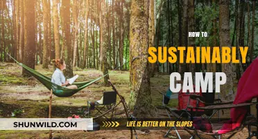 Eco-Friendly Camping Tips: Sustainable Practices for Outdoor Adventures