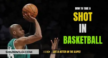 Mastering the Art of the Shot: A Guide to Basketball Success