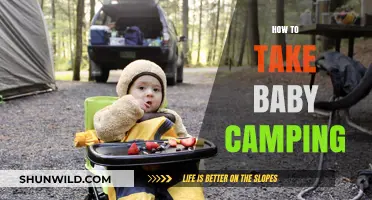 Baby's First Adventure: Essential Tips for Camping with Infants
