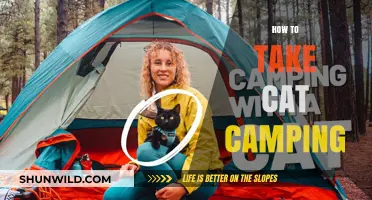 Purrfect Outdoor Adventure: Tips for Camping with Your Cat