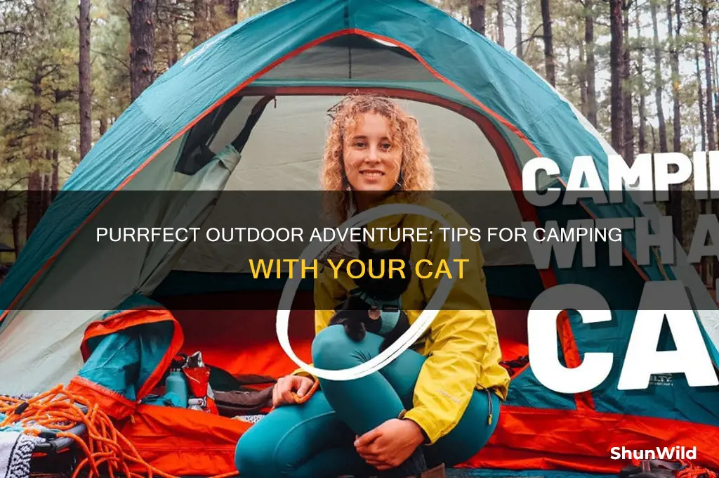 how to take cat camping