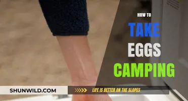 Camping with Eggs: Easy Packing, Cooking, and Storage Tips