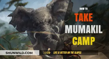 Conquering Mumakil Camp: Essential Tips for a Successful Adventure