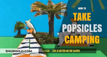 Cool Camping Treats: Tips for Taking Popsicles on Your Outdoor Adventure