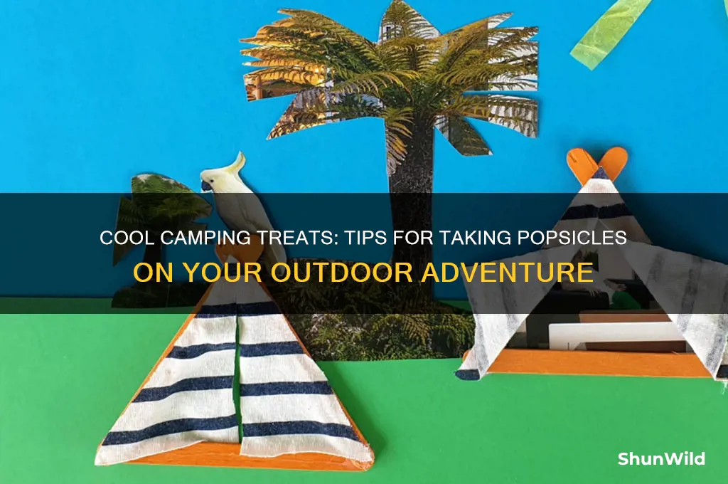 how to take popsicles camping