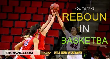 Rebound Mastery: Basketball's Ultimate Guide to Success