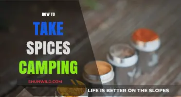 Pack Light, Flavor Right: Essential Tips for Camping with Spices