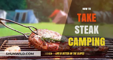 Perfect Campsite Steak: Tips for Grilling Steak While Camping