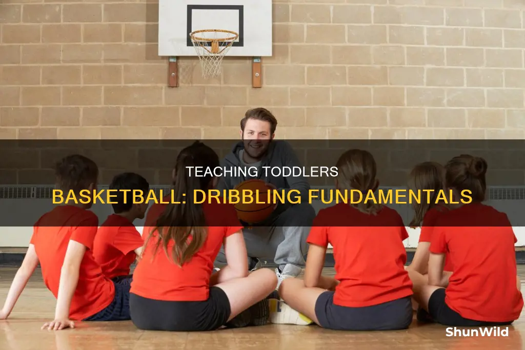how to teach a toddler to dribble a basketball