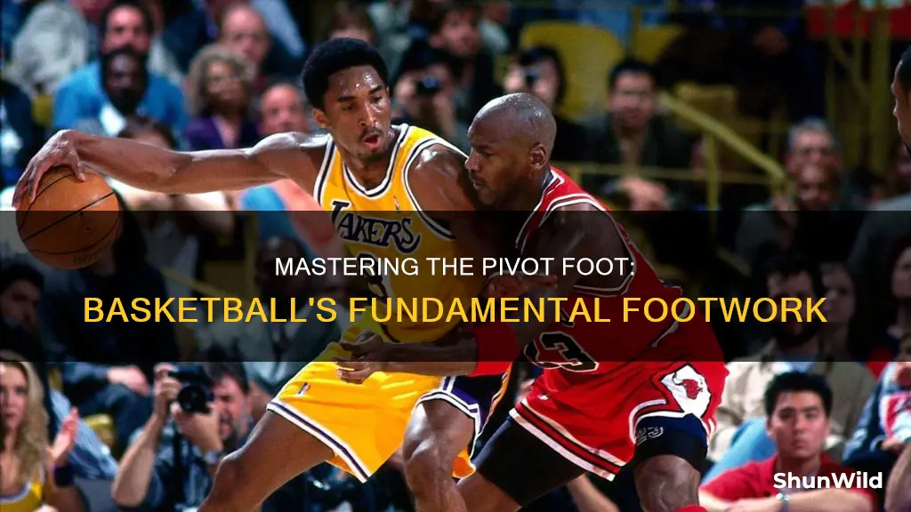 how to teach pivot foot in basketball