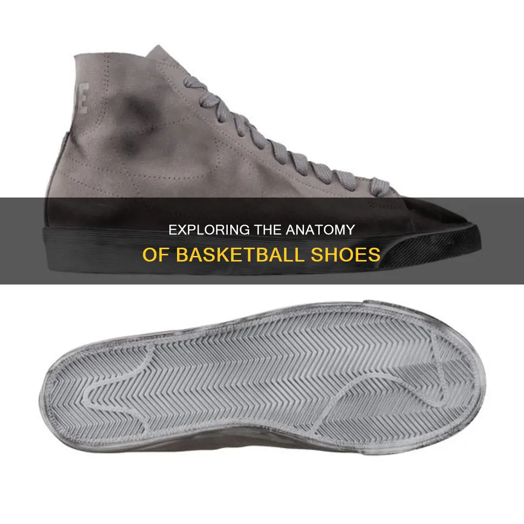 how to teasr apart any basketball shoe