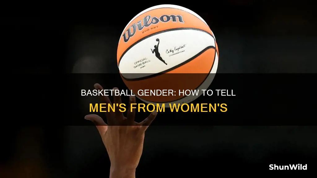 how to tell if a basketball is mens or womens