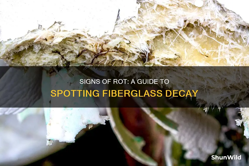 how to tell if a fiberglass boat is rotten