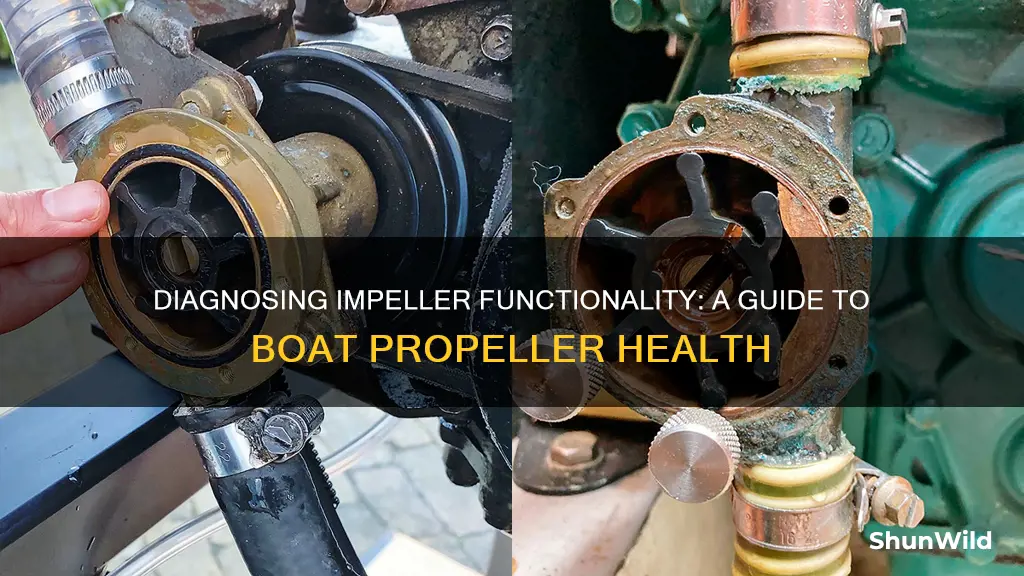 how to tell if boat impeller is working