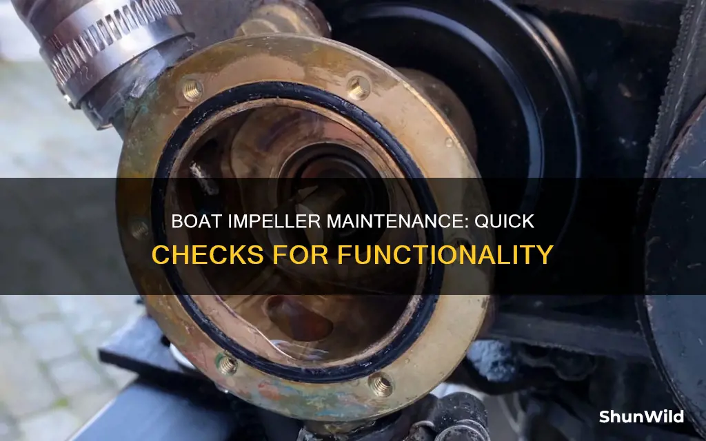 how to tell if boat impeller is working