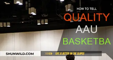 Spotting Quality AAU Basketball: What to Look For