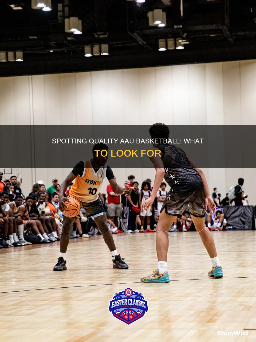 how to tell quality aau basketball