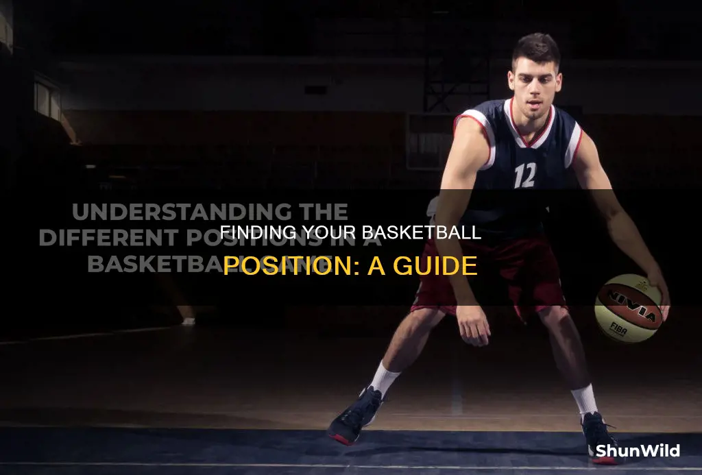 how to tell your basketball position