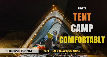 Master Comfortable Tent Camping: Essential Tips for a Cozy Outdoor Adventure
