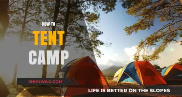 Master the Art of Tent Camping: Essential Tips for Beginners