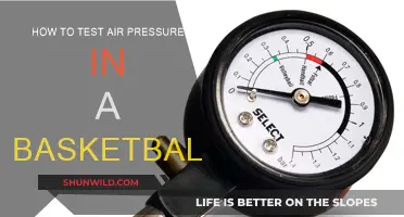 Testing Air Pressure: Basketball Maintenance 101