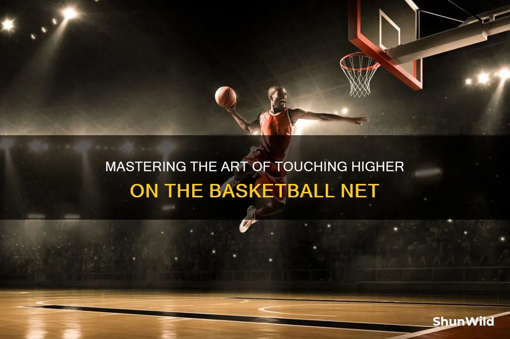 how to touch higher on the net is basketball