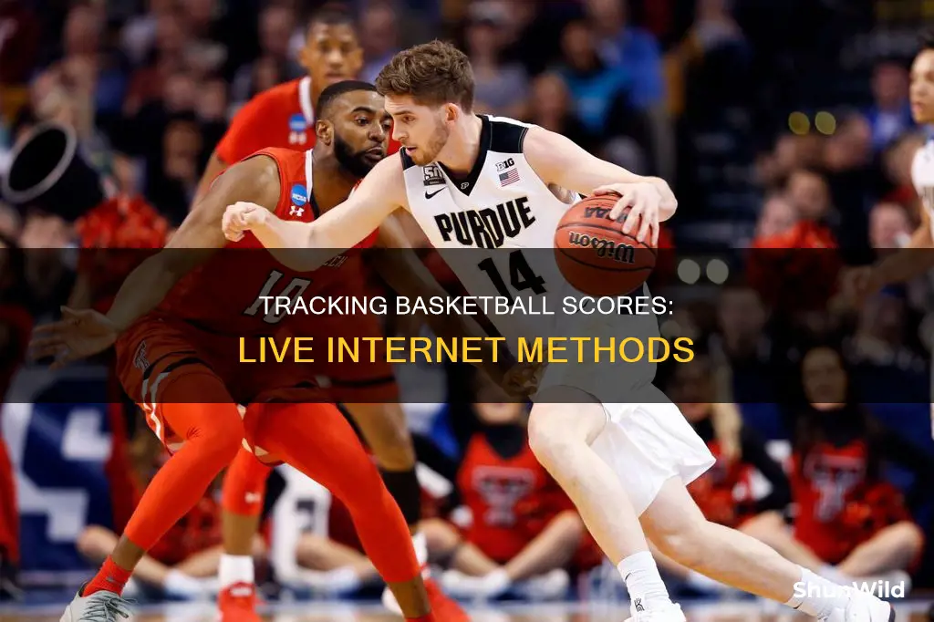 how to track basketball sores live on internet