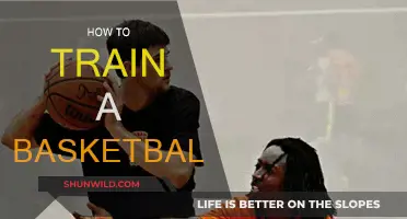 Training for Basketball: Tips to Improve Your Game